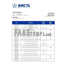 Timor-Leste BNCTL fake bank statement Word and PDF template