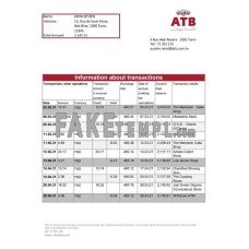 Tunisia ATB fake bank statement Excel and PDF template