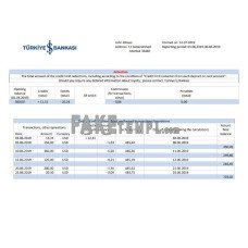 Turkey Bankasi fake bank statement Word and PDF template