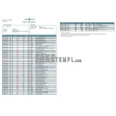 Turkey Bankasi fake bank statement Word and PDF template, 2 pages