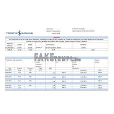 Turkey Bankasi fake bank statement Excel and PDF template