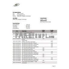 Turkmenistan HalkBank fake bank statement Word and PDF template