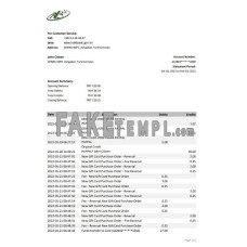 Turkmenistan Halkbank fake bank statement Excel and PDF template