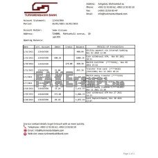 Turkmenistan Turkmenbashi fake bank statement Excel and PDF template