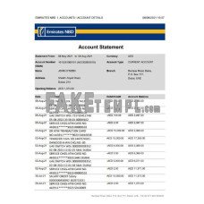 UAE Dubai Emirates NBD fake bank statement Excel and PDF template