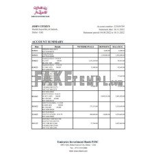 UAE Emirates Investment fake bank statement Excel and PDF template