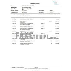 UAE Fujeirah National bank (NFB) fake bank statement Word and PDF template