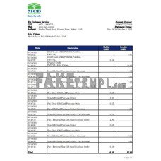 UAE MCB fake bank statement Excel and PDF template