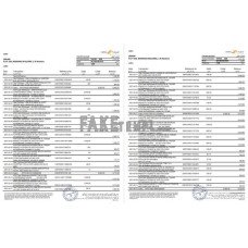 UAE Mashreq fake bank statement Excel and PDF template, 3 pages