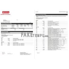 USA BECU fake bank statement Word and PDF template, 4 pages