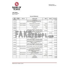 USA Bank of Texas account fake bank statement Word and PDF template