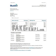 USA Bluebird fake bank statement Word and PDF template