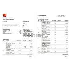 USA CIBC fake bank statement Word and PDF template, 4 pages