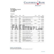 USA California Bank Trust fake bank statement Word and PDF template