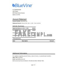 USA California BlueVine fake bank statement Excel and PDF template