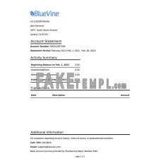 USA California BlueVine fake bank statement Word and PDF template