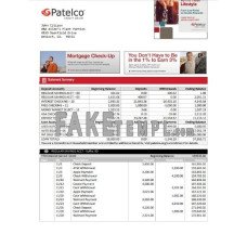 USA California Patelco Credit Union fake bank statement Word and PDF template