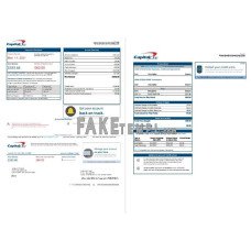 USA Capital One fake bank statement Word and PDF template(2 pages) version 3