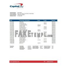 USA Capital One fake bank statement Word and PDF template