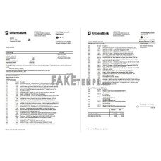 USA Citizens fake bank statement Excel and PDF template, (4 pages)