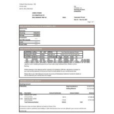 USA City fake bank statement Excel and PDF template