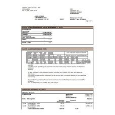 USA City fake bank statement Word and PDF template