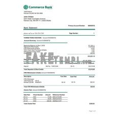 USA Commerce fake bank statement Word and PDF template