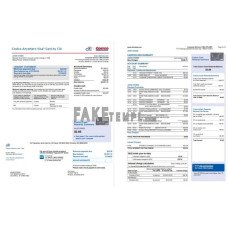 USA Costco Anywhere Visa Card by Citi fake bank statement Word and PDF template, 4 pages