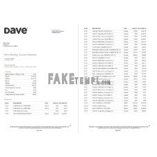 USA Dave bank account fake statement Word and PDF template, 5 pages