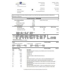 USA Fifth Third fake bank statement Excel and PDF template