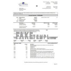 USA Fifth Third fake bank statement Word and PDF template