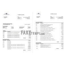 USA Fifth Third fake bank statement Word and PDF template, 2 pages