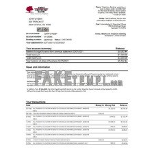 USA First Century fake bank statement Excel and PDF template