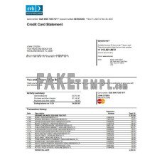 USA Florida Silicon Valley bank credit card fake statement Word and PDF template