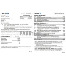 USA JP Morgan Chase fake bank statement Excel and PDF template, 2 pages