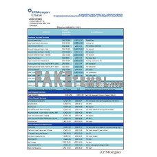 USA JP Morgan Chase fake bank statement Excel and PDF template