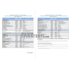 USA JP Morgan fake bank statement Word and PDF template, 2 pages, version 2