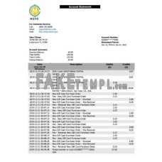 USA MOVO fake bank statement Word and PDF template