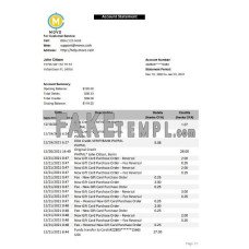 USA MOVO fake bank statement Excel and PDF template