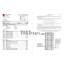 USA Maryland Howard Business fake bank statement Excel and PDF template (4 pages)