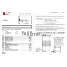 USA Maryland Howard Business fake bank statement Word and PDF template(4 pages)