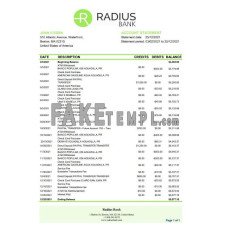 USA Massachusetts Radius fake bank statement Excel and PDF template