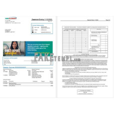 USA MidFlorida fake bank statement Word and PDF template, 3 pages