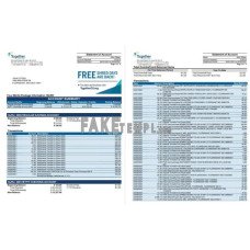 USA Missouri Together Credit Union fake bank statement Word and PDF template(6 pages)