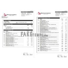 USA Mountain America Credit Union fake bank statement Word and PDF template, 6 pages