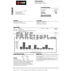 USA NAB fake bank statement Word and PDF template