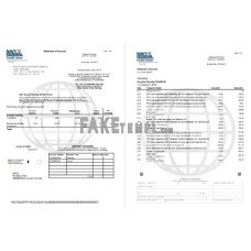 USA Navy Federal Union fake bank statement Excel and PDF template (5 pages)