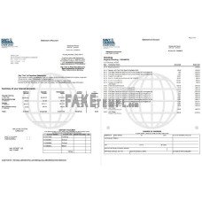 USA Navy Federal fake bank statement Word and PDF template, 9 pages