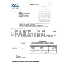 USA Navy Federal Credit Union fake bank statement Excel and PDF template