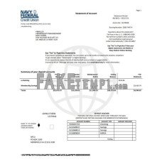 USA Navy Federal Union fake bank statement Word and PDF template